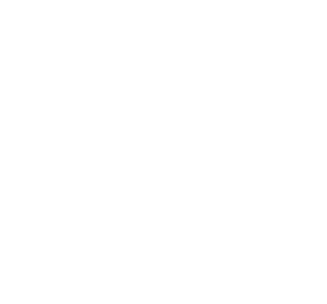 The Hoban Hotel Favicon in white